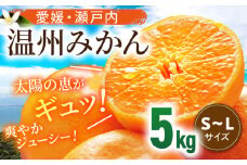 【11月中旬より順次発送】瀬戸内のめぐみたっぷり！温州みかん（S~Lサイズ）5kg 愛媛県大洲市/沢井青果有限会社 [AGBN047] 温州みかん みかん 果物 ミカン フルーツ