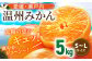 瀬戸内のめぐみたっぷり！温州みかん（S~Lサイズ）5kg