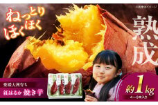 愛媛大洲育ち 熟成紅はるか焼き芋 1kg（4から6本入り） 冷やし焼き芋 レンジで焼き芋 サツマイモ さつまいも やき芋 冷蔵 小分け 個包装 愛媛県大洲市/(有)玉井民友商店 [AGBY007]