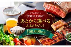 【あとから選べる】大洲市ふるさとギフト 10万円分 [AGXX021] 牛肉 豚肉 フルーツ 果物 ふるーつ くだもの 海鮮 うなぎ 鰻 スイーツ カタログ ギフト あとからセレクト 選べるギフト 日用品 観光 宿泊 旅行 10万円 100000円
