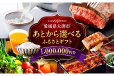 【あとから選べる】大洲市ふるさとギフト 100万円分 [AGXX026] 牛肉 豚肉 フルーツ 果物 ふるーつ くだもの 海鮮 うなぎ 鰻 スイーツ カタログ ギフト あとからセレクト 選べるギフト 日用品 観光 宿泊 旅行 100万円 1000000円