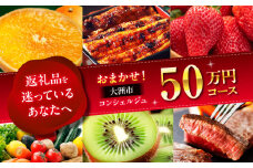 【大洲市コンシェルジュ】返礼品おまかせ！寄附額50万円コース [AGXX027] ギフト カタログ あとから寄付 駆け込み寄付