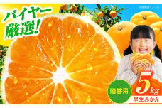 【先行予約】【11月下旬から順次発送】【贈答用】 早生みかん 5kg 愛媛県大洲市/有限会社西山青果 早生みかん 温州みかん みかん 果物 ギフト フルーツ [AGAR008]