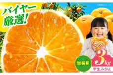 【先行予約】【11月下旬から順次発送】【贈答用】 早生みかん 3kg 愛媛県大洲市/有限会社西山青果 早生みかん 温州みかん みかん 果物 ギフト フルーツ [AGAR007]