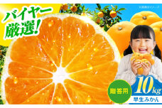 【先行予約】【11月下旬から順次発送】【贈答用】 早生みかん 10kg 愛媛県大洲市/有限会社西山青果 早生みかん 温州みかん みかん 果物 ギフト フルーツ [AGAR009]