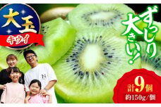 【先行予約】キウイフルーツヘイワード 大玉(3L～4L玉) 約150g×9個 甘熟パック入り・フルーツキャップ付き 愛媛県大洲市/西村農園 キウイ 果物 くだもの フルーツ 生産量日本一 [AGDC002]