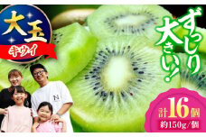 【先行予約】キウイフルーツヘイワード 大玉(3L～4L玉) 約150g×16個 甘熟パック入り・フルーツキャップ付き 愛媛県大洲市/西村農園 キウイ 果物 くだもの フルーツ 生産量日本一 [AGDC003]