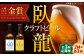 【年末限定】産地直送！ご当地ビール！臥龍クラフトビール（愛媛県南予Ver.）2種計6本セット　愛媛県大洲市/株式会社　アライ