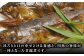  魚 定期便 おかず 定期便 甘露煮 おつまみ 定期便 あまご
