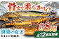  魚 定期便 おかず 定期便 甘露煮 おつまみ 定期便 あまご