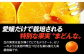まどんな マドンナ みかん ミカン 蜜柑 100％ みかんジュース ミカンジュース 蜜柑ジュース ジュース じゅーす 100％