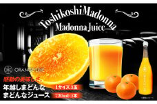 【2025年1月中旬頃から順次発送】 年越しまどんな（Lサイズ 3玉）＆まどんなジュース1本セット 愛媛県大洲市/ORANGE LINE[AGCT005] くだもの 果物 フルーツ みかん みかんジュース ジュース 大洲市産 産地直送 おすすめ 人気 お取り寄せ 送料無料 贈答 ギフト