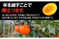 果物 みかんジュース デザート 果汁100％ ストレートジュース オレンジジュース [AGCT005]