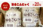 大洲の田舎こんにゃく　20袋　愛媛県大洲市/一般社団法人キタ・マネジメント [AGCP819]