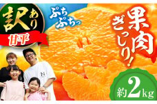 【訳あり】【先行予約】【2025年1月下旬から順次発送】甘平 2kg 愛媛県大洲市/西村農園 みかん ミカン えひめ かんぺい 柑橘 [AGDC004]