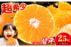 【先行予約】【3月上旬より順次発送】 甘平 2.5kg Lから4Lサイズ混合 愛媛県大洲市/有限会社西山青果 かんぺい カンペイ 柑橘 みかん 果物 [AGAR010]