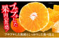 甘平 2.5kg Lから4Lサイズ混合かんぺい カンペイ 柑橘 みかん 果物