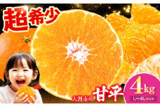 【先行予約】【3月上旬より順次発送】 甘平 4kg Lから4Lサイズ混合 愛媛県大洲市/有限会社西山青果 [AGAR011]