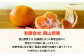【先行予約】【3月上旬より順次発送】 甘平 4kg Lから4Lサイズ混合 愛媛県大洲市/有限会社西山青果 [AGAR011]