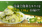 【冷凍】キウイ 800ｇ×2袋　愛媛県大洲市/沢井青果有限会社 キウイ きうい キウイフルーツ フルーツ 果物
