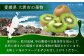 【冷凍】キウイ 800ｇ×2袋　愛媛県大洲市/沢井青果有限会社 キウイ きうい キウイフルーツ フルーツ 果物