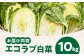白菜 鍋 おうちごはん 野菜 スープ 夕飯 漬物 簡単レシピ キムチ 冬野菜 味噌汁 夕食 料理 はくさい 白菜漬け おかず
