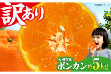 【1月下旬から順次発送】【ちょっと訳あり】ポンカン 約5kg 愛媛県大洲市/有限会社カーム/カームシトラス みかん 訳あり ぽんかん 柑橘 訳あり 果物 訳あり フルーツ 訳あり [AGBW010]