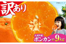 【1月下旬から順次発送】【ちょっと訳あり】ポンカン 約9kg 愛媛県大洲市/有限会社カーム/カームシトラス みかん ぽんかん 柑橘 果物 フルーツ [AGBW011]