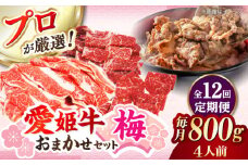 【全12回定期便】「愛姫牛」店主におまかせ旬セット【梅】800g（4人前）愛媛県大洲市/有限会社 木村屋精肉店 小間切れ 角切り 赤身 牛肉 冷凍 冷凍肉 お肉 [AGCC059]