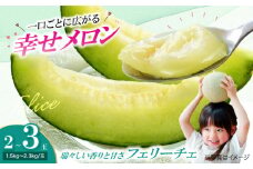 【先行予約】【6月上旬から順次発送】 メロン フェリーチェ 2から3玉 愛媛県大洲市/梶原農園　めろん 果物 フルーツ くだもの 青肉 高級 お取り寄せ　 [AGCX002]