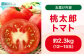  トマト 桃太郎 12から15玉 約2.3kg とまと 大玉トマト 野菜 リコピン 人気