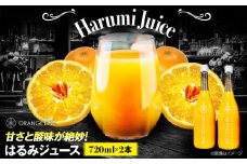 はるみジュース　2本　愛媛県大洲市/ORANGE LINE 果物 みかんジュース デザート 果汁100％ ストレートジュース オレンジジュース [AGCT001]