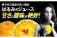 まどんな マドンナ みかん ミカン 蜜柑 100％ みかんジュース ミカンジュース 蜜柑ジュース ジュース じゅーす 100％