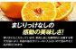 まどんな マドンナ みかん ミカン 蜜柑 100％ みかんジュース ミカンジュース 蜜柑ジュース ジュース じゅーす 100％