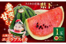 【先行予約】【5月下旬から順次発送】愛媛県産 エコラブスイカ 特1玉 愛媛県大洲市/株式会社フジ・アグリフーズ すいか スイカ くだもの フルーツ 果物 [AGBA017]