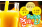 はれひめ みかん オレンジ フルーツ ミカン 果物 かき氷 みかんジュース 愛媛みかん 柑橘 ストレートジュース