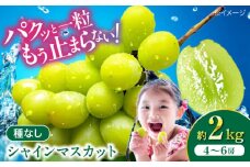 【先行予約】【2025年8月中旬から順次発送】シャインマスカット2kg（4から6房）愛媛県大洲市/有限会社ふじブドウ園 果物 くだもの フルーツ 葡萄 ぶどう マスカット [AGDB002]