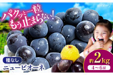 【先行予約】【2025年8月中旬から順次発送】ニューピオーネ 2kg（4から6房）愛媛県大洲市/有限会社ふじブドウ園 果物 くだもの フルーツ 葡萄 ぶどう ピオーネ [AGDB001]