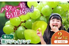 【先行予約】【2025年8月下旬から順次発送】瀬戸ジャイアンツ 2kg（4から6房）愛媛県大洲市/有限会社ふじブドウ園 [AGDB003]