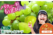 【先行予約】【2025年8月下旬から順次発送】瀬戸ジャイアンツ 2kg（4から6房）愛媛県大洲市/有限会社ふじブドウ園[AGDB003] ぶどう 葡萄 果物 くだもの フルーツ 新鮮 愛媛県産 大洲市産 産地直送 おすすめ 人気 お取り寄せ 送料無料 贈答 ギフト