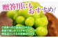 果物 くだもの フルーツ 季節 葡萄 ぶどう ブドウ グレープ 瀬戸ジャイアンツ 新鮮 朝採り 朝採れ 種無し ギフト 贈答
