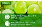 果物 くだもの フルーツ 季節 葡萄 ぶどう ブドウ グレープ 瀬戸ジャイアンツ 新鮮 朝採り 朝採れ 種無し ギフト 贈答