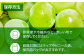 果物 くだもの フルーツ 季節 葡萄 ぶどう ブドウ グレープ 瀬戸ジャイアンツ 新鮮 朝採り 朝採れ 種無し ギフト 贈答