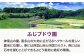 果物 くだもの フルーツ 季節 葡萄 ぶどう ブドウ グレープ 瀬戸ジャイアンツ 新鮮 朝採り 朝採れ 種無し ギフト 贈答