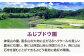 果物 くだもの フルーツ 季節 葡萄 ぶどう ブドウ グレープ 瀬戸ジャイアンツ 新鮮 朝採り 朝採れ 種無し ギフト 贈答