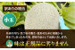 メロン めろん タカミ 小玉 こだま 貴味 青肉 果物 くだもの 旬 2025 フルーツ 高級 デザート 2玉 3玉 先行予約