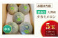 メロン めろん タカミ 小玉 こだま 貴味 青肉 果物 くだもの 旬 2025 フルーツ 高級 デザート 2玉 3玉 先行予約