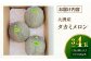 メロン めろん タカミ 小玉 こだま 貴味 青肉 果物 くだもの 旬 2025 フルーツ 高級 デザート 2玉 3玉 先行予約