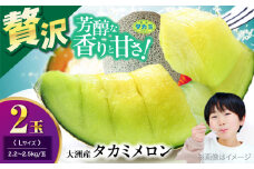 【先行予約】【6月下旬から順次発送】 タカミ メロン Lサイズ 2玉入り（2.2kg〜2.5kg/玉） 愛媛県大洲市/にのみや農園 めろん 貴味 果物 フルーツ くだもの 青肉 高級　 [AGDG003]