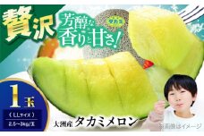 【先行予約】【6月下旬から順次発送】 タカミ メロン LLサイズ 1玉入り（2.5kg〜3kg以下/玉） 愛媛県大洲市/にのみや農園[AGDG004] メロンめろん 果物 くだもの フルーツ 新鮮 愛媛県産 大洲市産 産地直送 おすすめ 人気 お取り寄せ 送料無料 贈答 ギフト